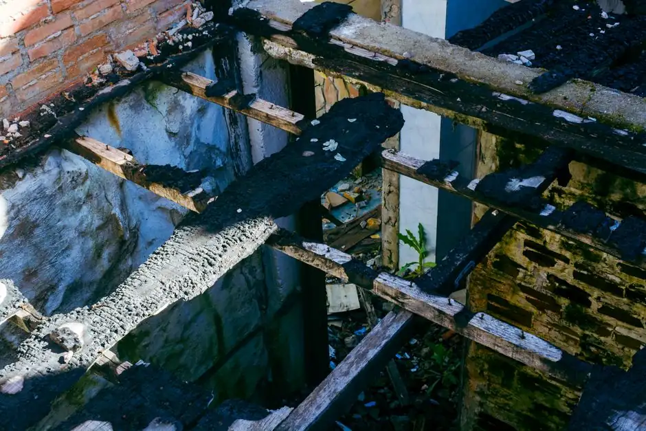 Attic Mold Remediation