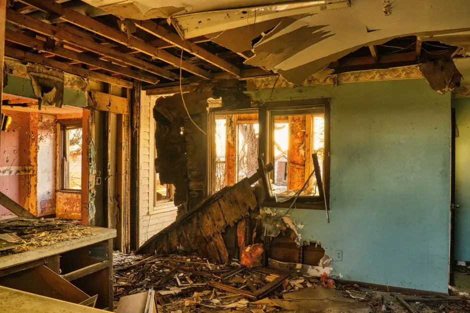 Basement Mold Removal